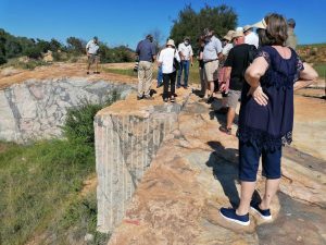 WhatsApp Image 2022-02-17 at 12.32.08 PM