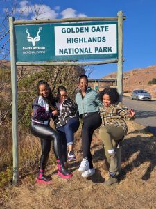 WhatsApp Image 2024-11-22 at 17.08.42